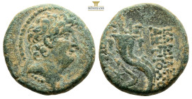 SELEUKID KINGS of SYRIA. Antiochos VIII Epiphanes (Grypos), 121/0-97/6 BC. Antioch on the Orontes
Obv: Diademed head right. 
Rev. BAΣIΛEΩΣ ANTIOXOV EΠ...