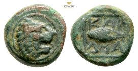 THRACIAN CHERSONESOS. 'Kardia'. Circa 357-309 BC.
Obv: Lion head to right
Rev: Barley grain; KAP-ΔΙΑ around; all within square frame.
AE Bronze, 2.42g...