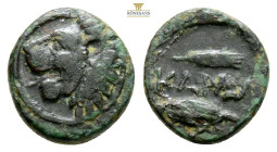 THRACIAN CHERSONESOS. 'Kardia'. Circa 357-309 BC
Obv: Lion head to right
Rev: ΚΑΡΔΙΑ, Grain ear and see
AE Bronze, 1,37g 12mm