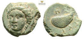 AEOLIS. Gryneion. Circa 4th-3rd century BC
Obv: Laureate head of Apollo facing slightly to left.
Rev. ΓΥΡΗΝΙΩΝ 
Mussel shell
AE Bronze, 1,21g 12,1mm...