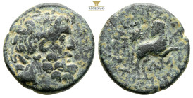 SELEUCIS and PIERIA. Antioch. Pseudo-autonomous issue, time of Augustus, 27 BC- AD 14.
Obv: Laureate head of Zeus right.
Rev: ΕΠΙ ΣΙΛΑΝΟΥ ΑΝΤΙΟΧΕΩΝ
Ra...