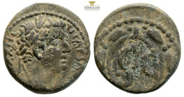 SELEUCIS and PIERIA. Antioch. Tiberius, AD 14-37
Obv: TI CAESAR AVG TR POT XXXIII 
Laureate head right. 
Rev. Large S C within circular linear border;...