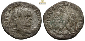 PHOENICIA, Berytus. Caracalla, AD 198-217. 
Obv: AYT KAI ANTWNINOC CЄ
Laureate head right 
Rev: ΔHMAΡX EΞ ΥΠATOC TO Δ
Eagle standing facing, head and ...