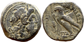 Ptolemaic Kings Of Egypt. (3-1 century BC). Bronze. Obverse: Head of Zeus. Reverse: Eagle on Thunderbolt