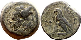 Ptolemaic Kings Of Egypt. (3-1 century BC). Bronze. Obverse: Head of Zeus. Reverse: Eagle on Thunderbolt