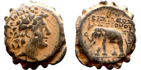 Antiochos VI Dionysos (Seleukid King: 145-141 BC). AE bronze. Obv.: radiate and wreathed head r. Rev.: elephant standing l., holding torch with trunk;...