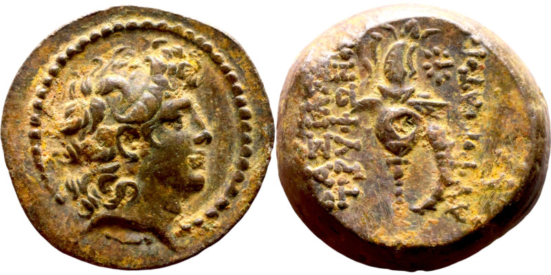 Tryphon (Seleukid King: 142-138 BC). AE bronze. Obv.: diademed bust of Tryphonos...