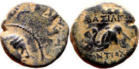 Antiochus IV Epiphanes (Seleukid King: 175-172 BC). AE bronze. Obv.: Veiled, diademed bust of Laodice IV right Rev.: Elephant head left, to r. Tripod