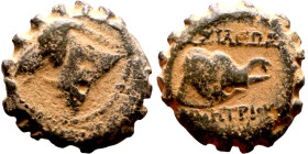 Demetrios I Soter (Seleukdi King: 162-150 BC). AE bronze. Obv.: head of horse left. Rev.: BAΣIΛEΩΣ ΔHMHTPIOY, head of elephant right.