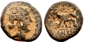 Hellenistic period coin (4-1 century BC) AE Bronze. Obverse: Bust of Apollo. Reverse: Walking Lion