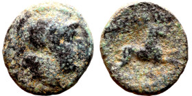 Hellenistic period coin (4-1 century BC) AE Bronze. Obverse: Bust of Athena. Reverse: Walking Horse