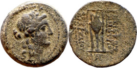 Seleukos II Kalinikos (Seleukid King: 246 - 226 BC) AE bronze. Obv:  Laureate head of Apollo right, with wavy locks Rev: Tripod