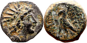 Antiochos VIII Epiphanes (Seleukid King: 121-96 BC). AE bronze. Obv.: diademed head of Antiochus right. Rev.: BAΣІΛEΩΣ ANTIOXOY EΠIΦANOYΣ; Eagle stand...