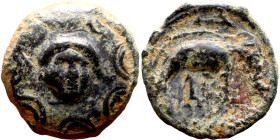 Antiochos III The Great (Seleukid King: 223-187 BC). AE bronze. Obv: Macedonian shield with gorgoneion in center Rev: Elephant standing right