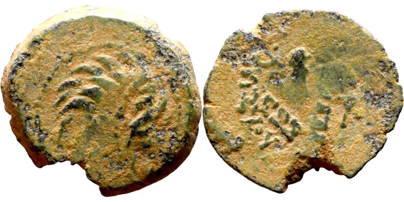 Antiochos VII Sidetes (Seleukid King: 138-129 BC ) bronze coins. Obv.: Head of L...