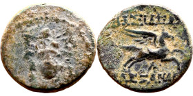 Hellenistic period coin (4-1 century BC) AE Bronze. Obverse: Bust of goddess Reverse: pegasus