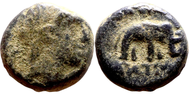 Antiochos III The Great (Seleukid King: 223-187 BC). AE bronze. Obv.: Laureate h...
