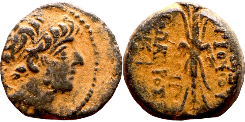 Antiochus IX Cyzicenus (Seleukid King: 114-95 BC). AE bronze. Obv.: diademed hea...