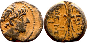 Antiochus IX Cyzicenus (Seleukid King: 114-95 BC). AE bronze. Obv.: diademed head of Antiochus right. Rev.: Titles to right and left of winged thunder...
