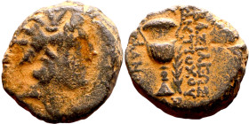 Antiochos VI Dionysos (Seleukid King: 145-141 BC). AE bronze. Obv: Radiate and diademed head Rev: Amphora; palm to r.; monogram below.