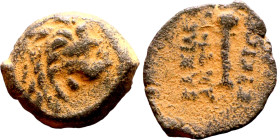 Antiochos VII Sidetes (Seleukid King: 138-129 BC ) bronze coins. Obv.: Head of Lion. Rev.: BAΣIΛEΩΣ ANTIOXOY EYEPΓETOY Club