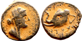 Antiochus IV Epiphanes (Seleukid King: 175-172 BC). AE bronze. Obv.: Veiled, diademed bust of Laodice IV right Rev.: Elephant head left, to r. Tripod