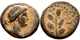Nero (54-68) Antioch Syria. Bronze Obverse: head of Apollo, right Reverse: Laurel branch