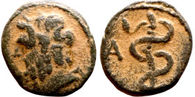 Uncertain imperial bronze (II-III century) Obverse: Bust of Asclepius Reverse: caduceus entwined by a snake