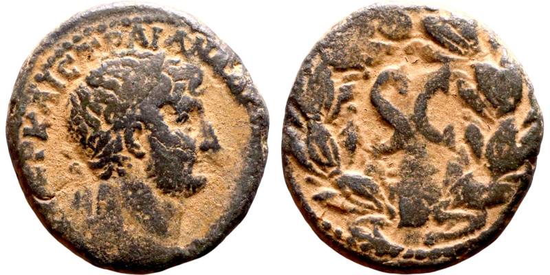 Hadrian (117 – 138) Syria, Antioch. Obverse: Bust of Emperor. Reverse: Large S C...