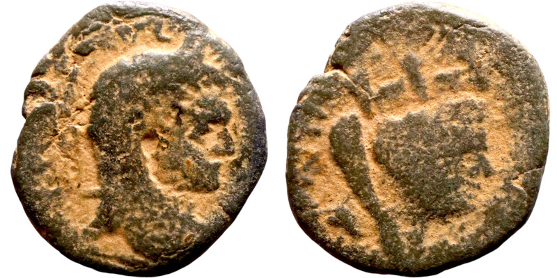 Caracalla (211-217) Mesopotamia: Edessa: Obv: Bust of Emperor. Rev: bust of Tych...
