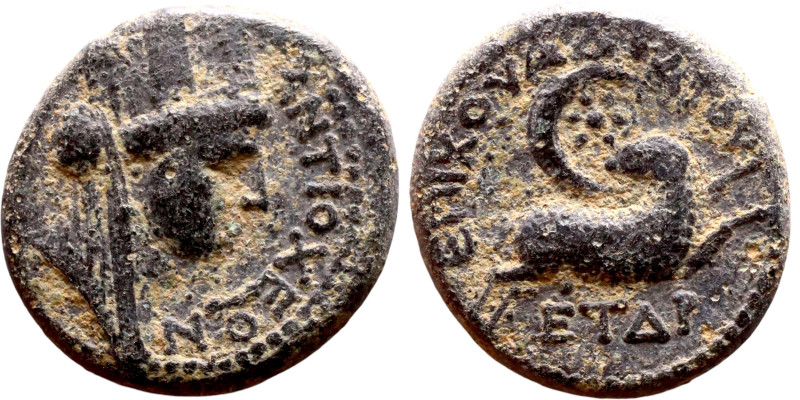 Roman Syria: Antioch ( I century BC), bronze. Obverse: Bust of Tyche Reverse: le...