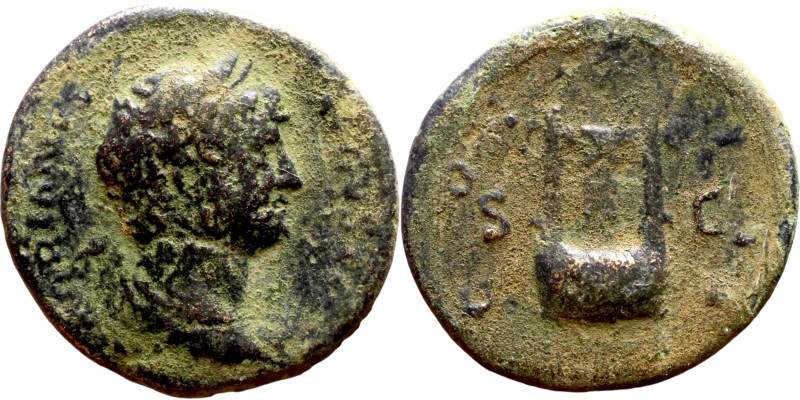Hadrian (117-138) Antioch Syria. Bronze Obverse: head of Apollo, right Reverse: ...