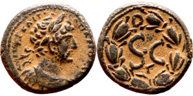 Hadrian (117-138) Antioch Syria. Bronze Obverse: Bust of Empero, right Reverse: Large S C