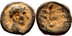 Nero (54-68) Antioch Syria. Bronze Obverse: head of Apollo, right Reverse: Laurel branch