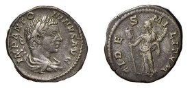 CARACALLA (198-217) DENARIO - D/Busto laureato a d. IMPANTO NINVS AVG R/La Fides stante a s. rivolta a d,. con stendardo e vessillo FIDES MILITVM - Ar...