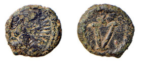 OSTROGOTI - THEODORICO (493-526) 5 NUMMI - Zecca Ravenna - D/ Testa a d. R/Nel campo il simbolo del valore V con sopra una stella - Ae - Ratto 2355 RA...