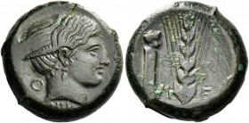 Metapontum. Bronze circa 425-350, Æ 9.39 g. Female head r . Rev. M – E Ear of barley; in l. field, ithyphallic herm. SNG ANS 553. AMB 147 (this coin)....