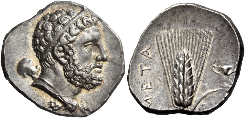 Metapontum. Nomos circa 290-280, AR 7.89 g. Diademed head of Heracles r., lion's...