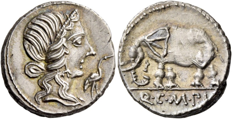 Q. Caecilius Metellus Pius. Denarius 81, AR 3.86 g. Head of Pietas r.; before, s...