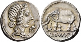 Q. Caecilius Metellus Pius. Denarius 81, AR 3.86 g. Head of Pietas r.; before, stork. Rev. Elephant l.; in exergue, Q C M P I. Babelon Caecilia 43. Sy...