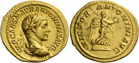Elagabalus, 218 – 222. Aureus circa 218–219, AV 6.49 g. IMP CAES M AVR ANTONINVS AVG Laureate, draped and cuirassed bust r. Rev. VICTOR ANTONINI AVG V...