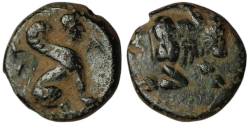 CARIA. Kaunos. (Circa 350-300 BC)
AE Bronze (18mm, 3,33g)