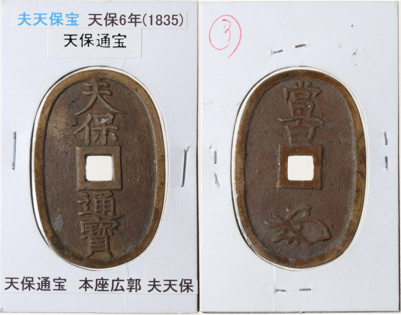 Japan. Edo Period (1603-1868). 100 Mon, Tempo Tsu Ho. 49 x 32 mm. Hartill (Jap.)...