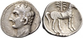 Iberia, Carthago Nova. Hispano-Carthaginian issues. Shekel circa 221-206, AR 7.09 g. Male head l. (Hannibal?). Rev. Horse standing r. Behind, palm tre...