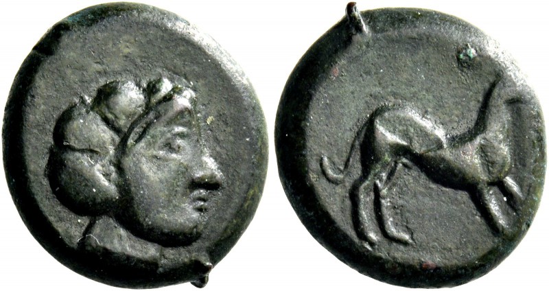 Segesta. Bronze circa 390-380, Æ 5.81 g. Head of Aigiste r. Rev. Hound standing ...