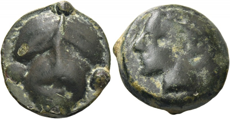 Selinus. Tetras circa 443-415, Æ 10.09 g. Head of river god l. Rev. Selinon leaf...