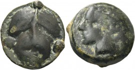 Selinus. Tetras circa 443-415, Æ 10.09 g. Head of river god l. Rev. Selinon leaf; around, three pellets. SNG ANS –. Calciati 6.
Rare. Dark green patin...
