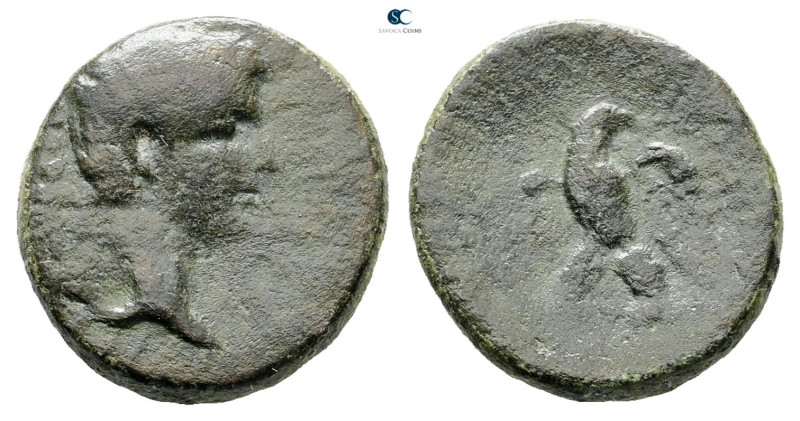 Phrygia. Apameia. Tiberius AD 14-37. 
Bronze Æ

20 mm, 5,71 g



Fine