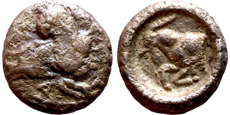 Macedon ? (V century BC) obol Obv: Head of Horse. Rev: Head of Ram

8mm 0.74g