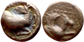 Hellenistic period coin (4-1 century BC) AE Bronze.  Obv: